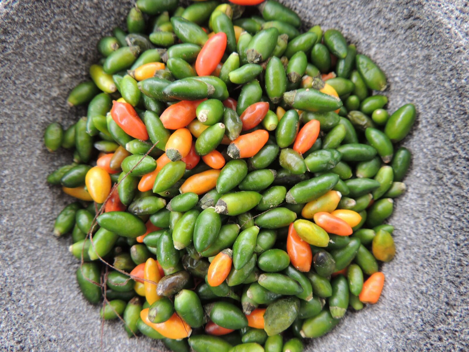 Nikon Coolpix P510 sample photo. Chilli, mexico, flavor photography