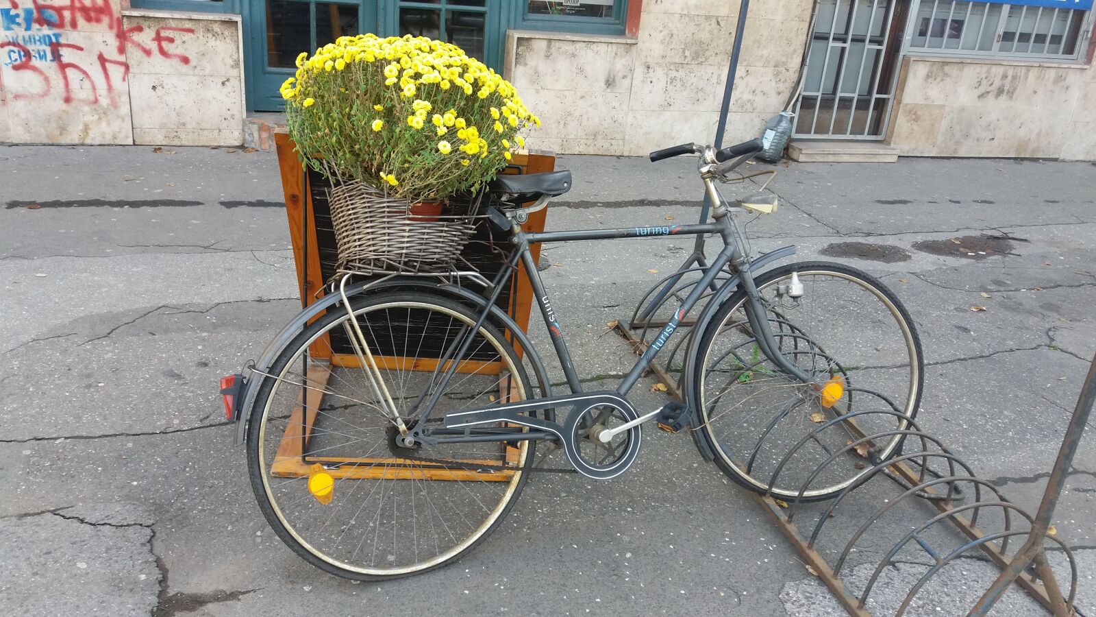 Samsung Galaxy J5 sample photo. Bicycle, bicycle, flowers photography