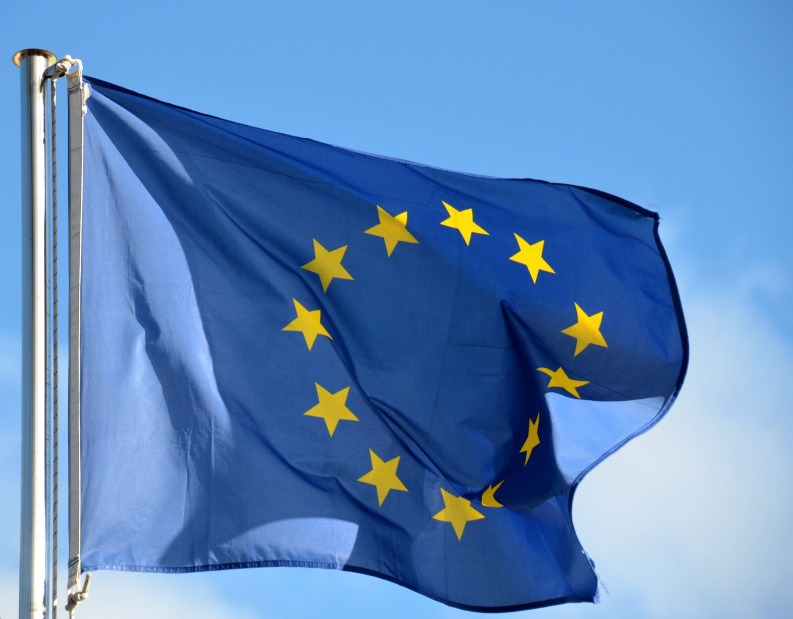 Nikon D5100 sample photo. Flag, europe, demokratie photography