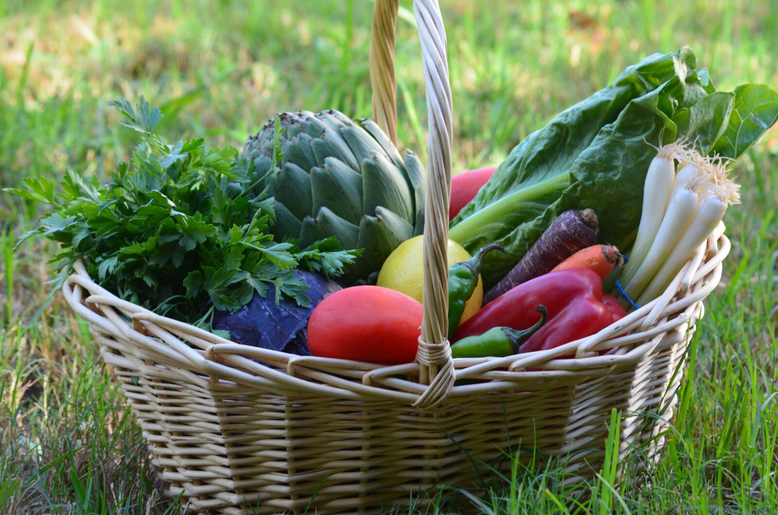 Nikon D5100 sample photo. Vegan, food, healthy photography