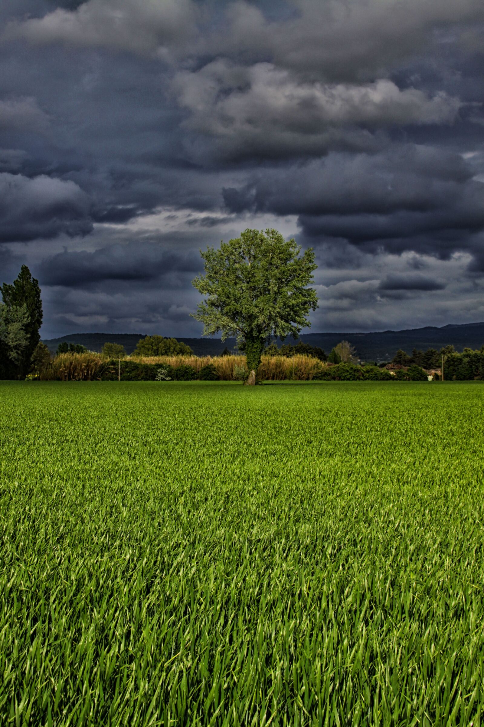 Canon EOS 50D sample photo. Panoramic, lawn, prairie photography