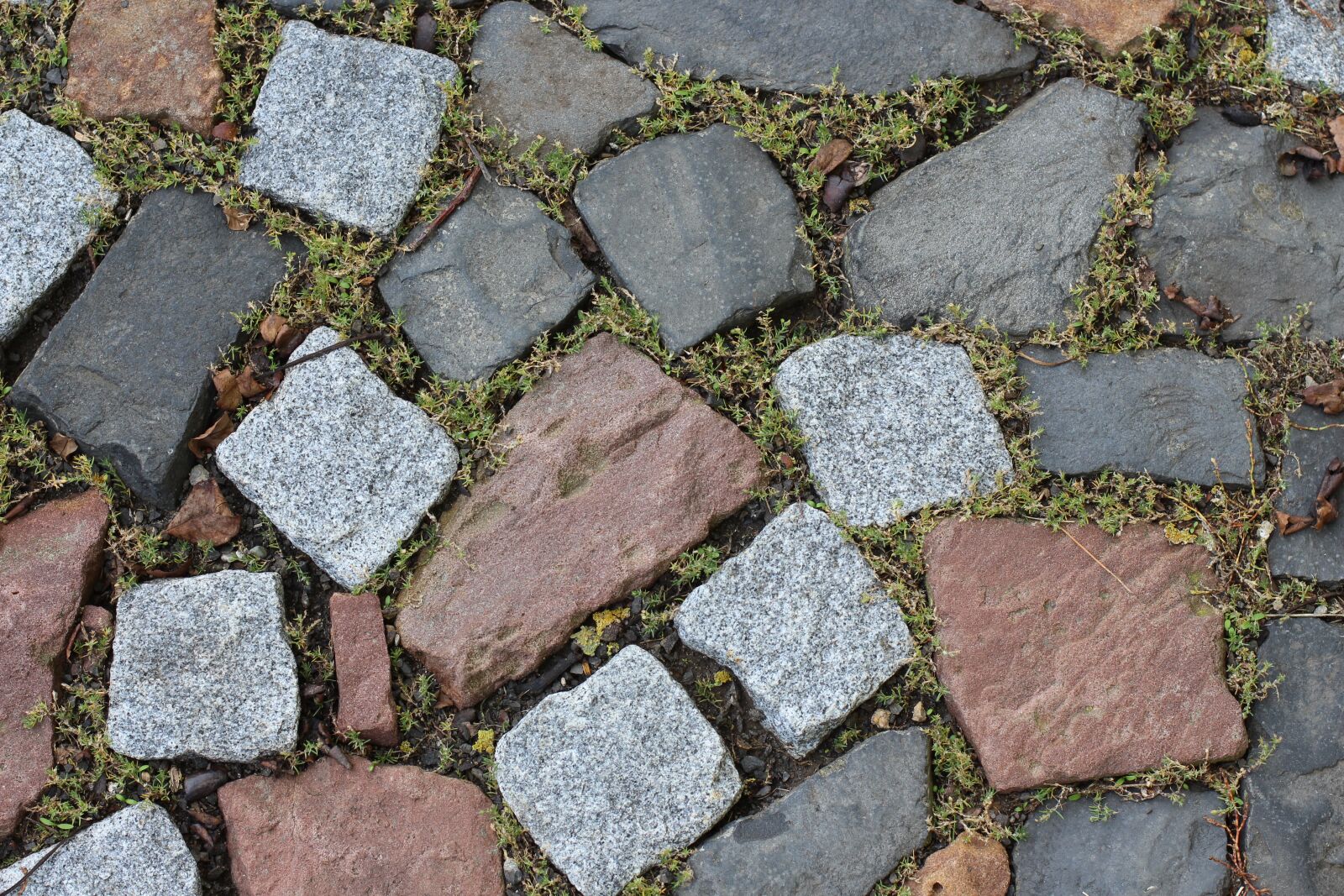 Canon EOS 700D (EOS Rebel T5i / EOS Kiss X7i) + Canon EF 50mm F1.4 USM sample photo. Stones, ground, texture photography
