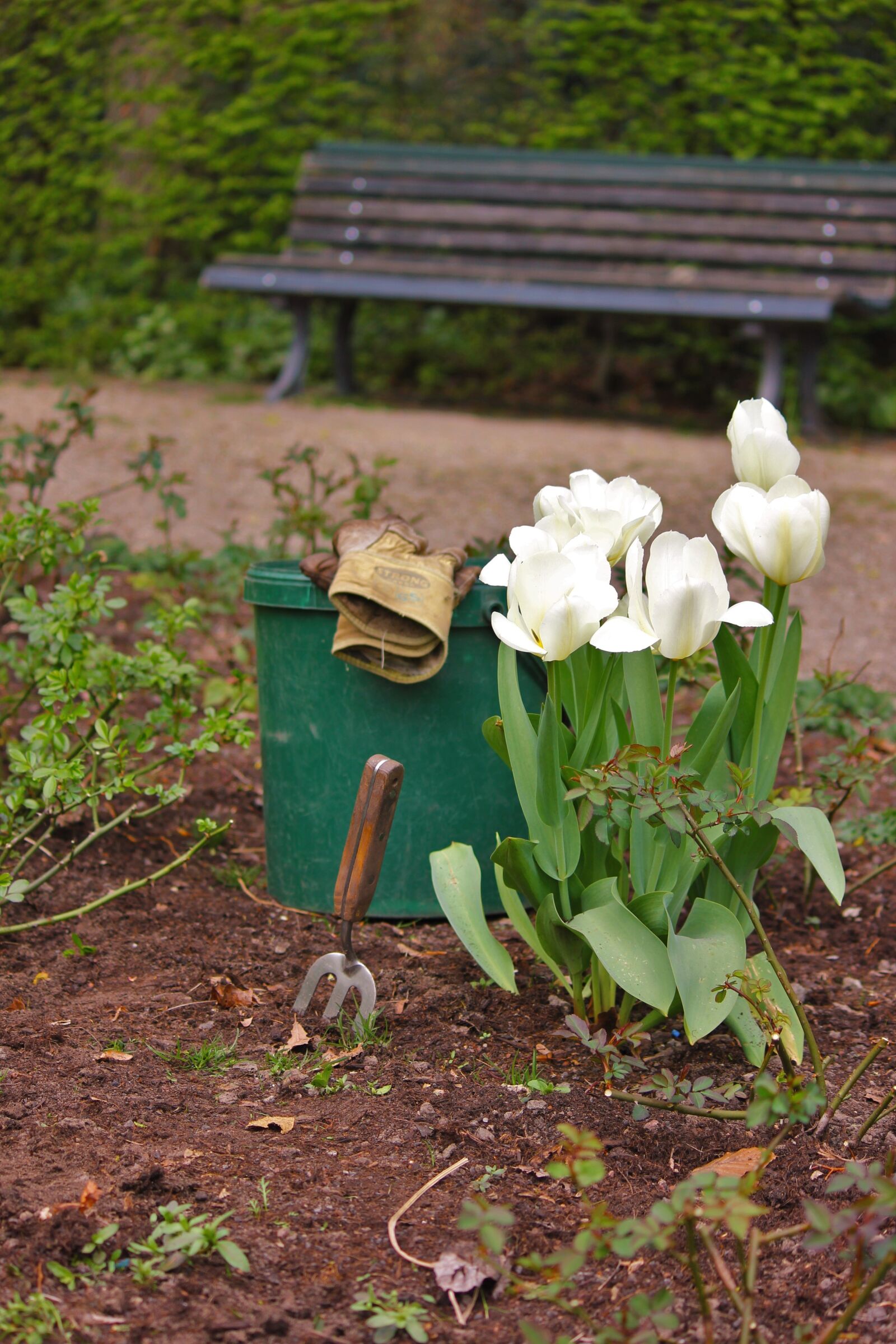 Canon EOS 550D (EOS Rebel T2i / EOS Kiss X4) sample photo. Gardening, landscape gardener, gardener photography