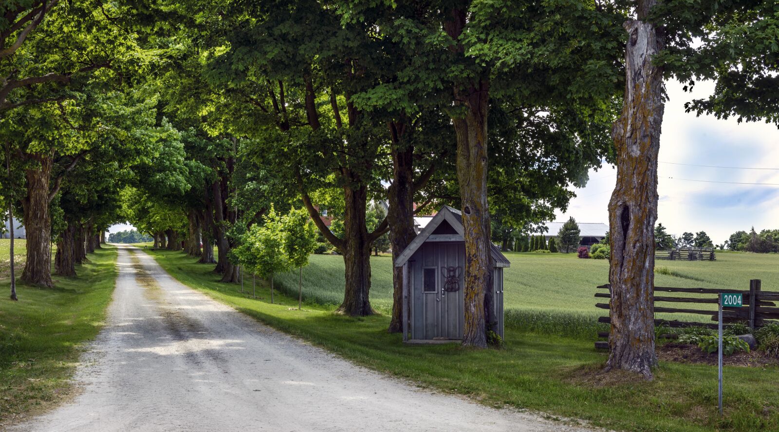 Nikon D610 sample photo. Road, landscape, nature photography