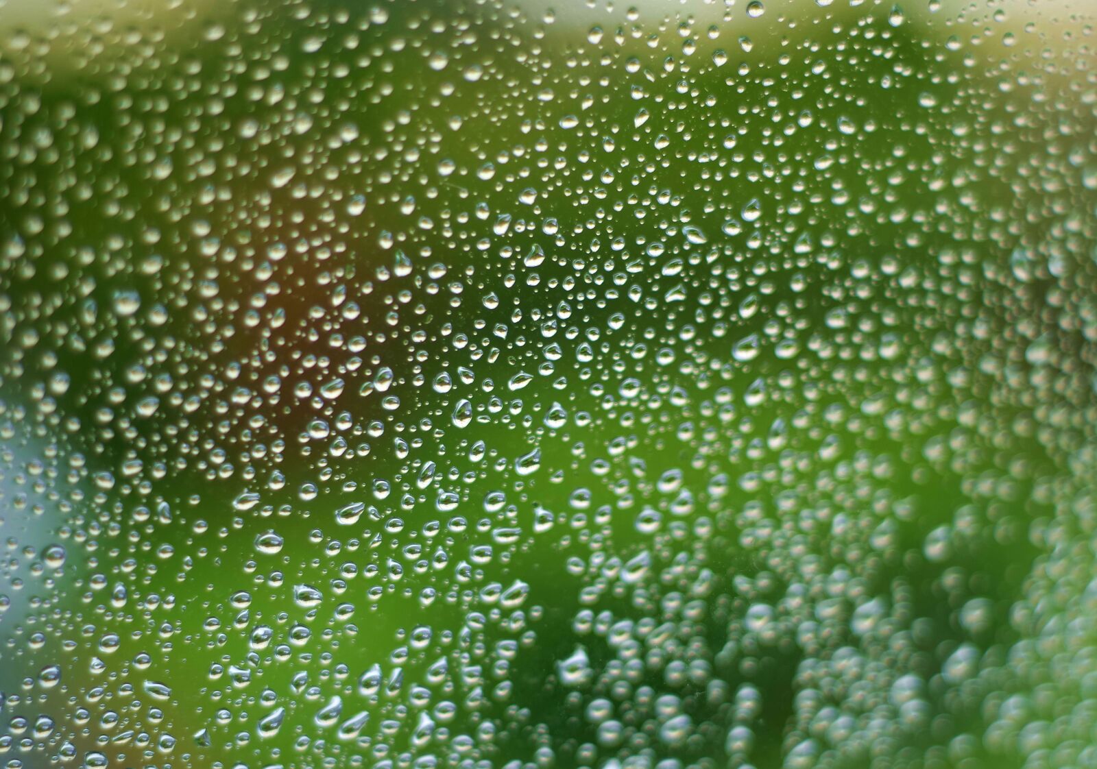 Pentax K-S2 sample photo. Drops of water, pane photography