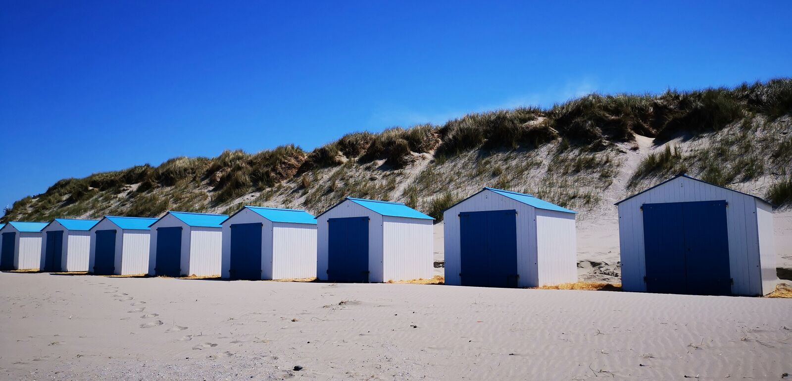 HUAWEI HMA-L29 sample photo. Texel, holland, island photography