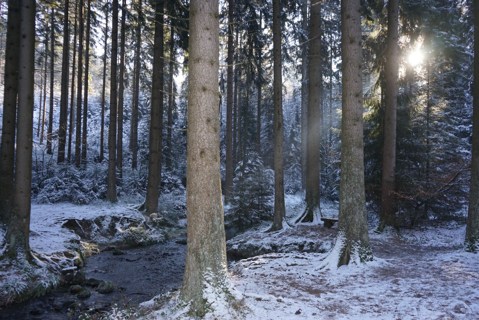 Sony a7 II + Sony FE 28-70mm F3.5-5.6 OSS sample photo. Silver valley, horn-bad meinberg photography
