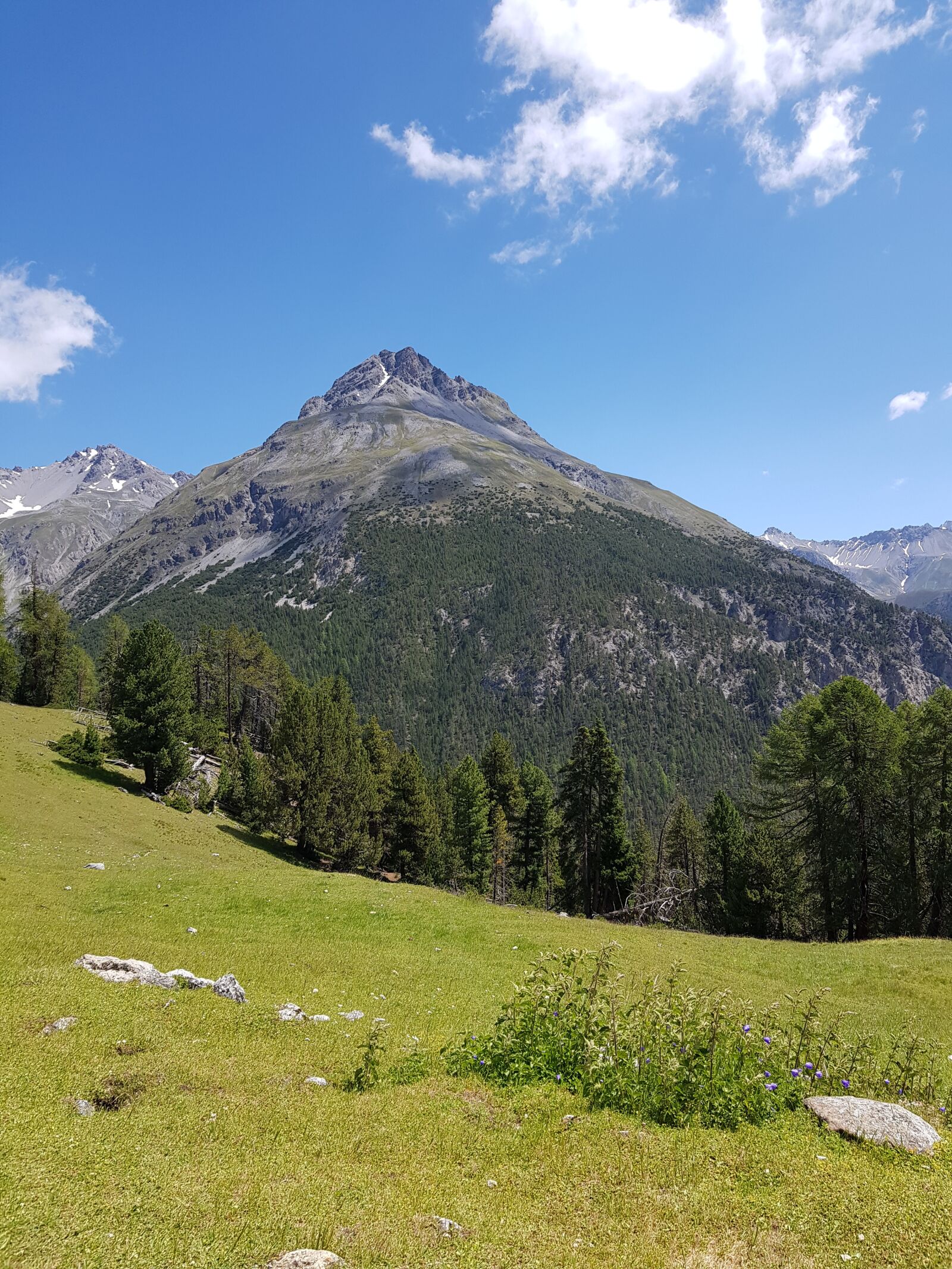Samsung Galaxy S8 sample photo. Engadin, national park, tourism photography