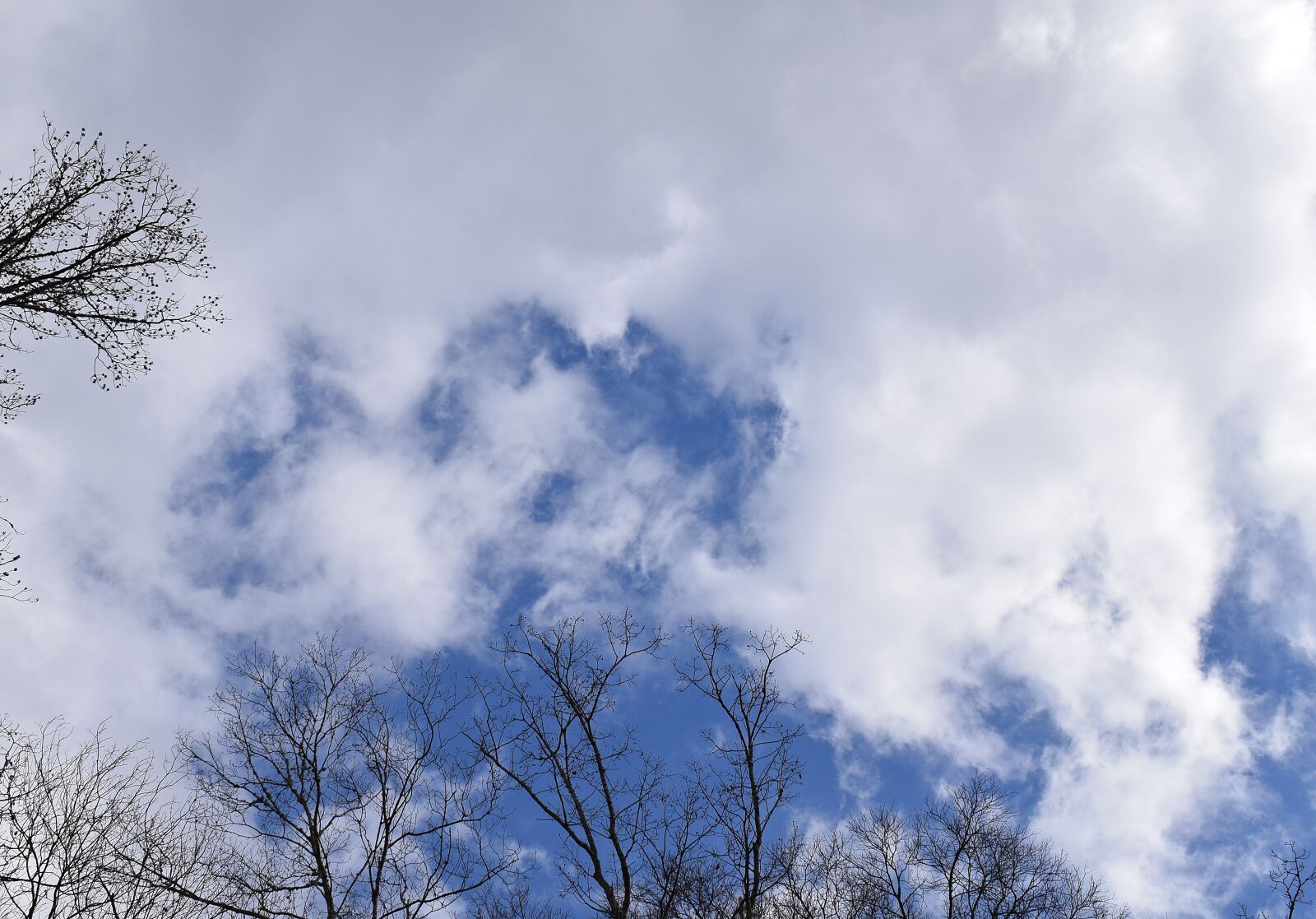 Nikon D3300 sample photo. Wispy clouds, blue sky photography