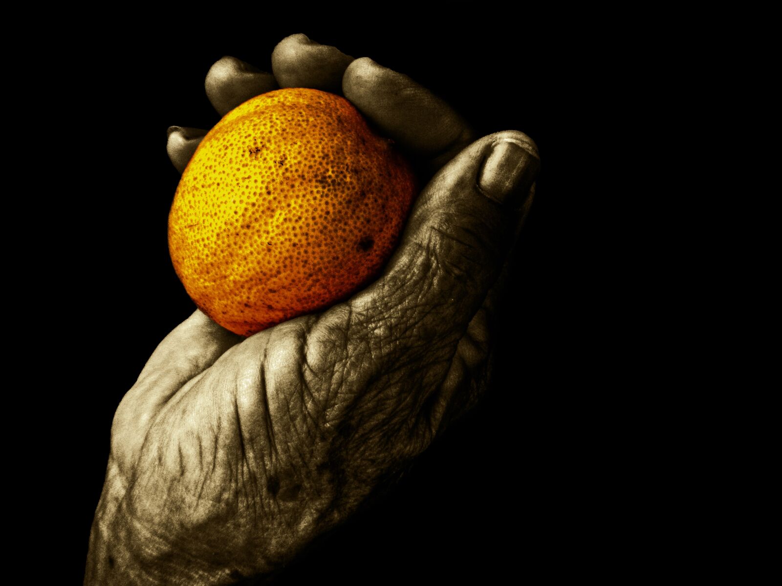 Nikon Coolpix AW110 sample photo. Fruit, food, hand photography
