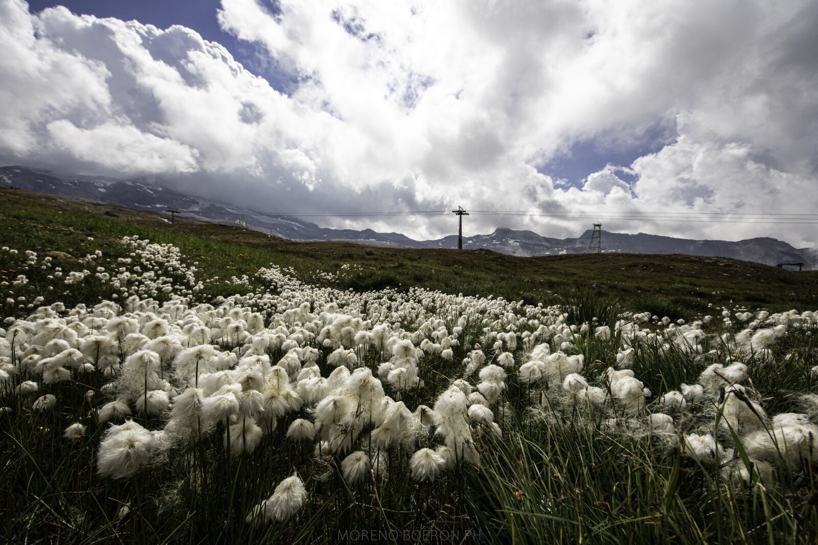 Canon EOS 80D sample photo. Mountain, flowers, nature photography