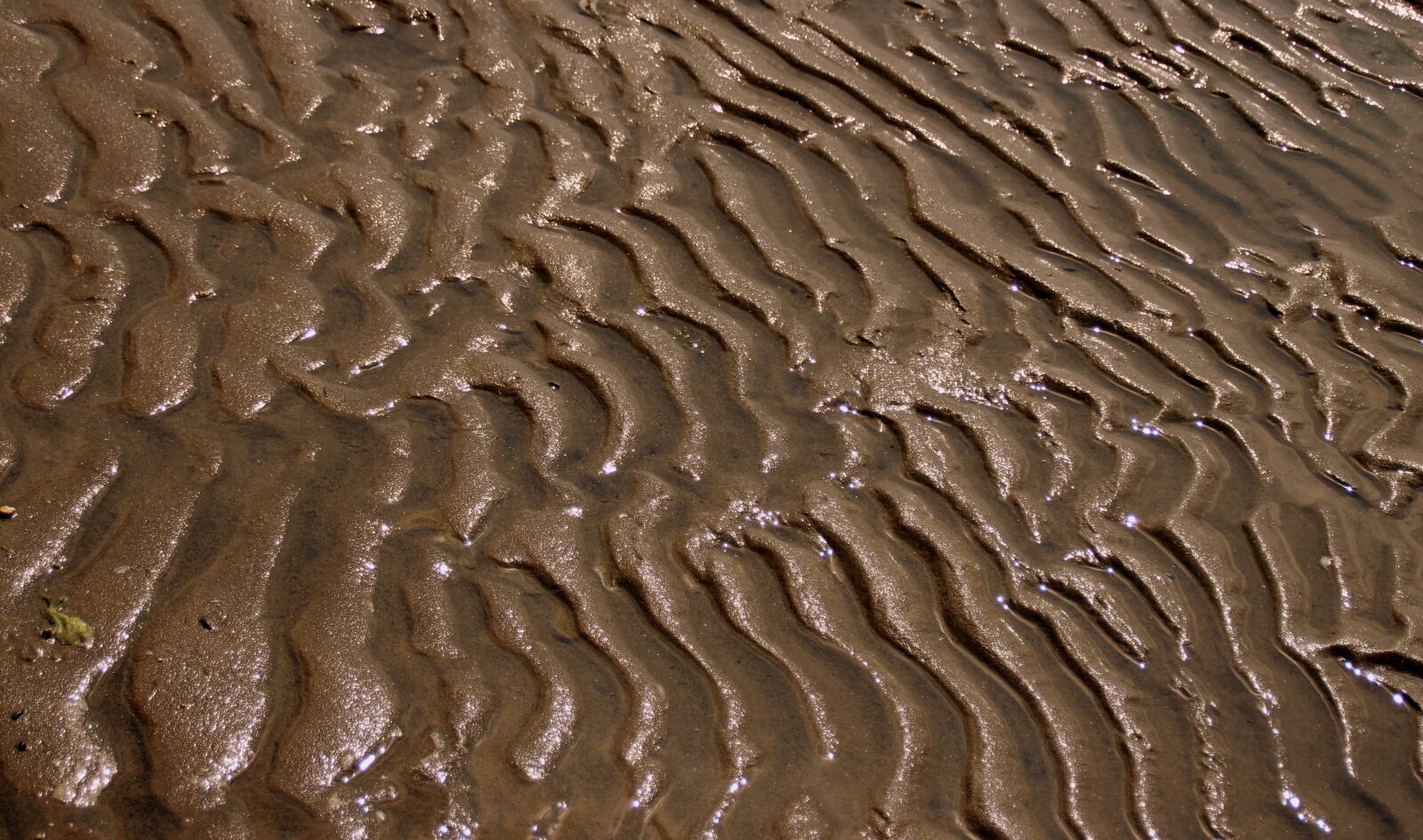 Canon EOS 700D (EOS Rebel T5i / EOS Kiss X7i) sample photo. Sand, texture, beach photography