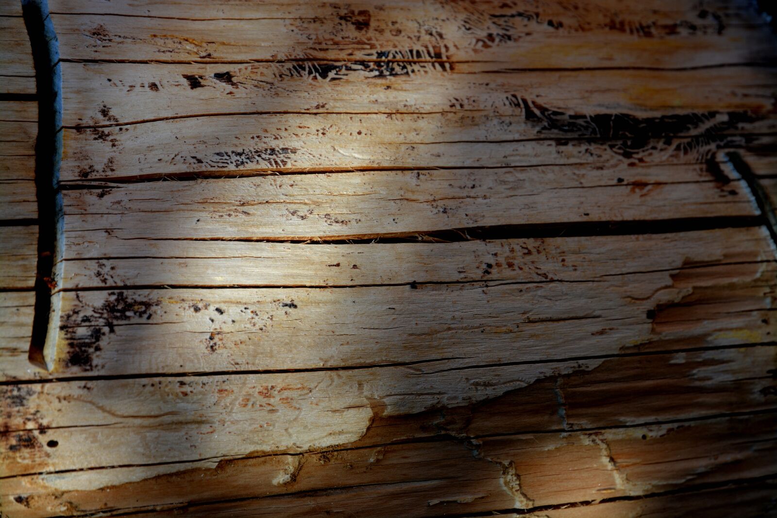 Nikon D5200 sample photo. Fuel, textured, flooring photography