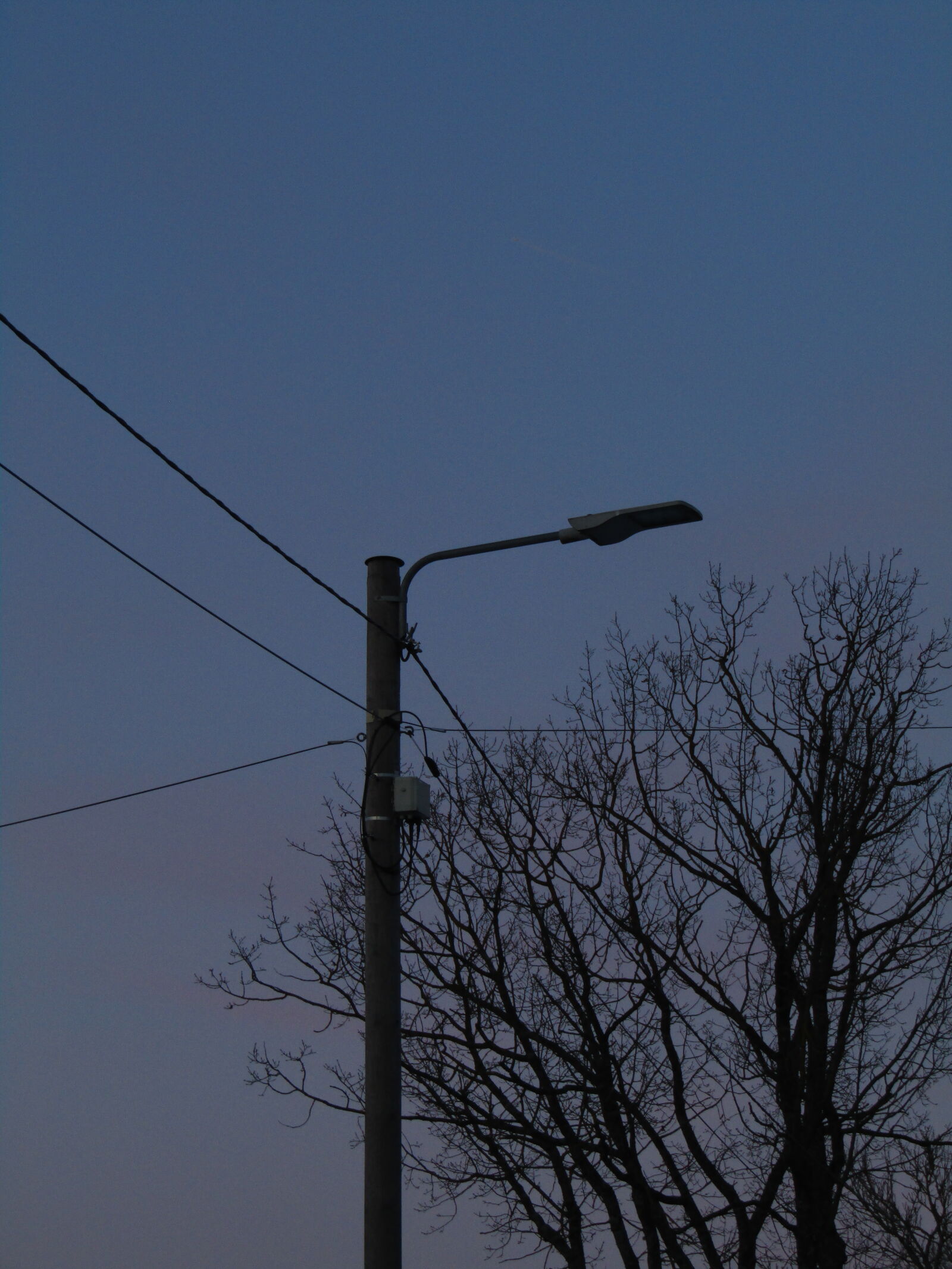 Canon PowerShot SX420 IS sample photo