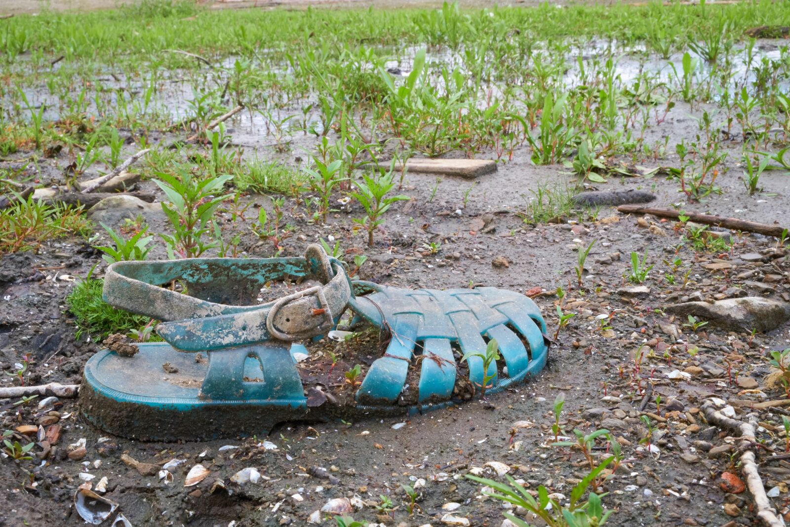 Fujifilm XF 18-55mm F2.8-4 R LM OIS sample photo. Shoe, slippers, sandals photography