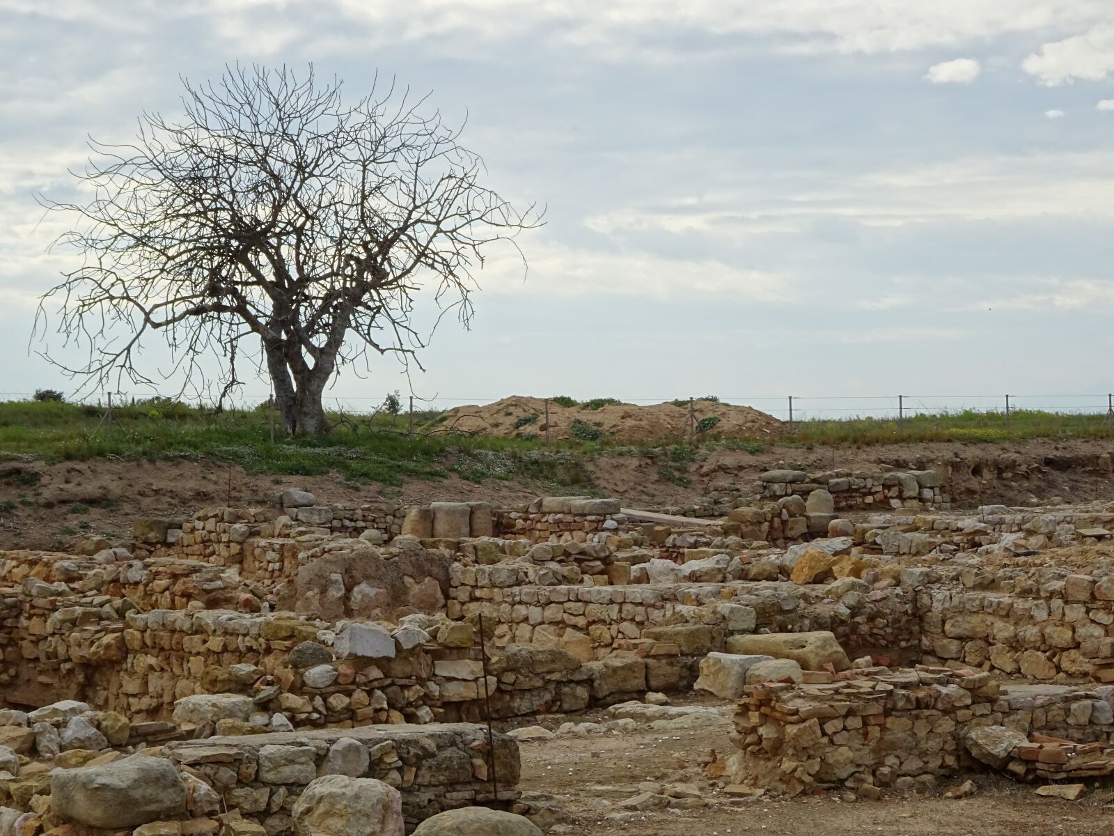 Sony DSC-HX60 sample photo. Landscape, tree, stone photography