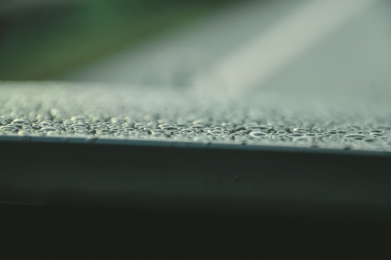 Nikon D3200 sample photo