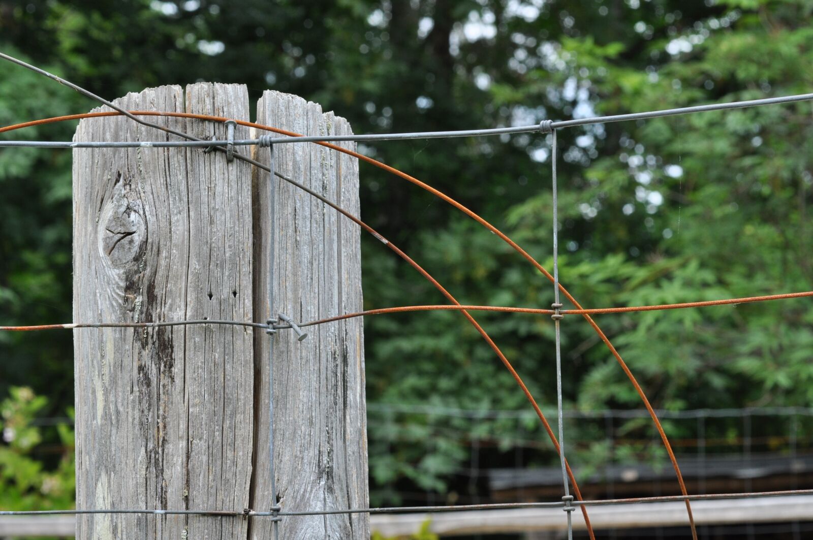 Nikon D90 sample photo. Wood, fence, fencing photography
