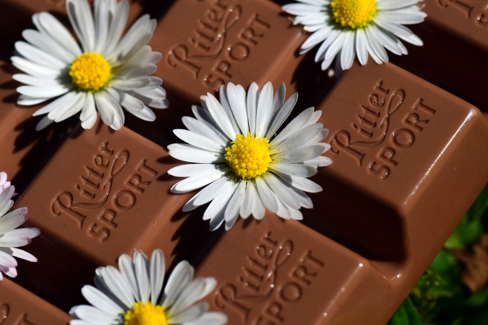 Nikon D3300 sample photo. Chocolate, benefit from, delicious photography