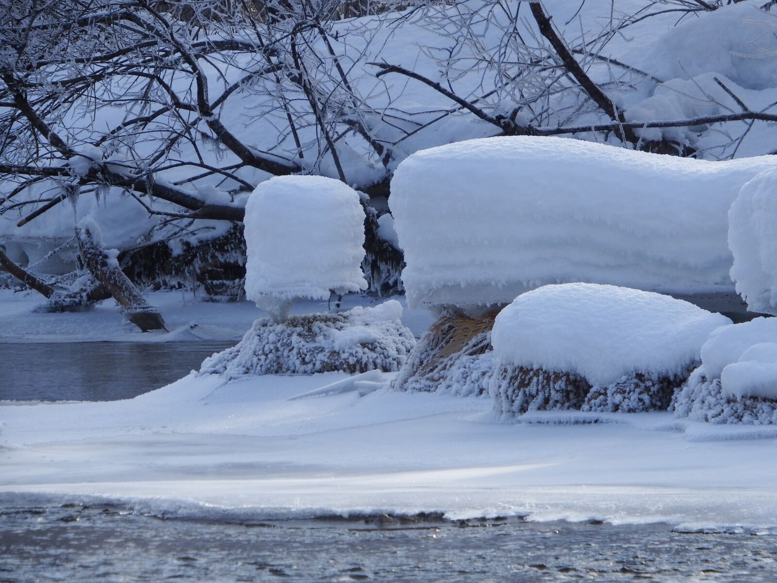 Fujifilm FinePix S1 sample photo. Winter, snow, frost photography