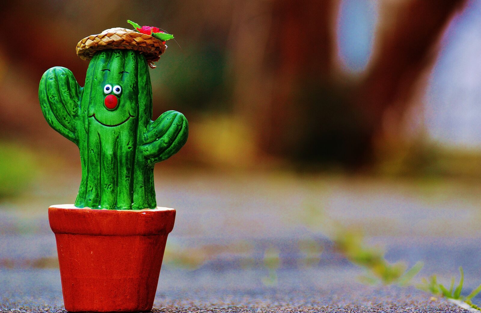 Nikon D3200 sample photo. Cactus, straw hat, face photography