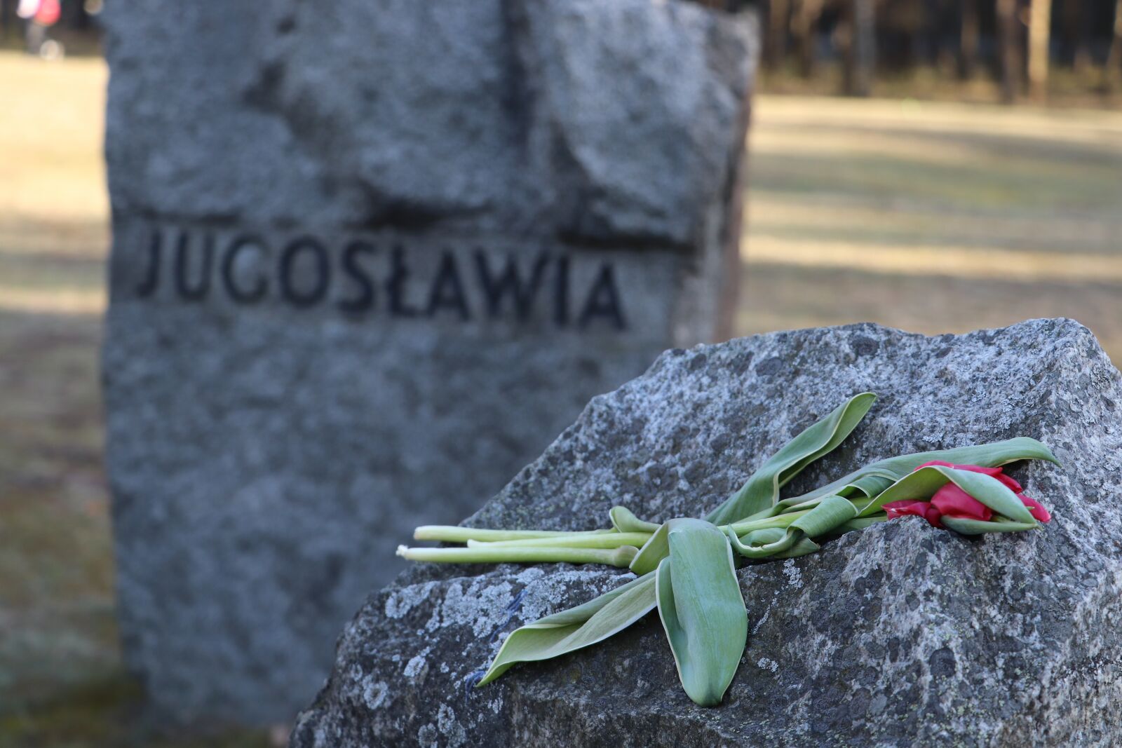 Canon EOS 77D (EOS 9000D / EOS 770D) sample photo. Treblinka, konzentrationslager, poland photography
