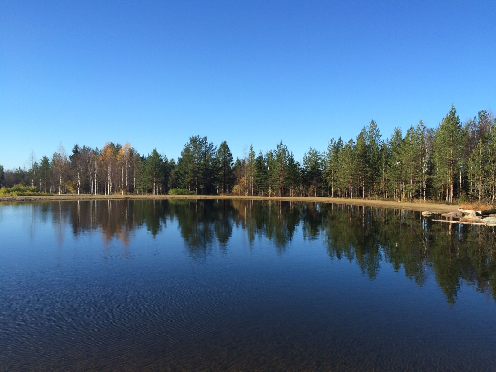 iPhone 5s back camera 4.15mm f/2.2 sample photo. Forest, arctic, winter photography