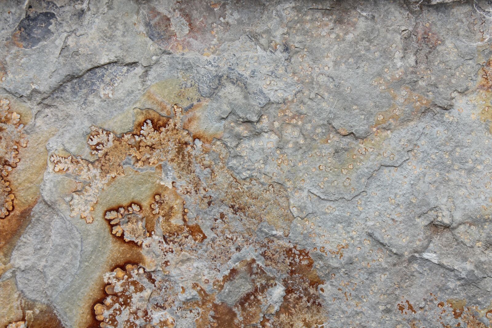 Canon EOS 1100D (EOS Rebel T3 / EOS Kiss X50) sample photo. Texture, rock, nature photography