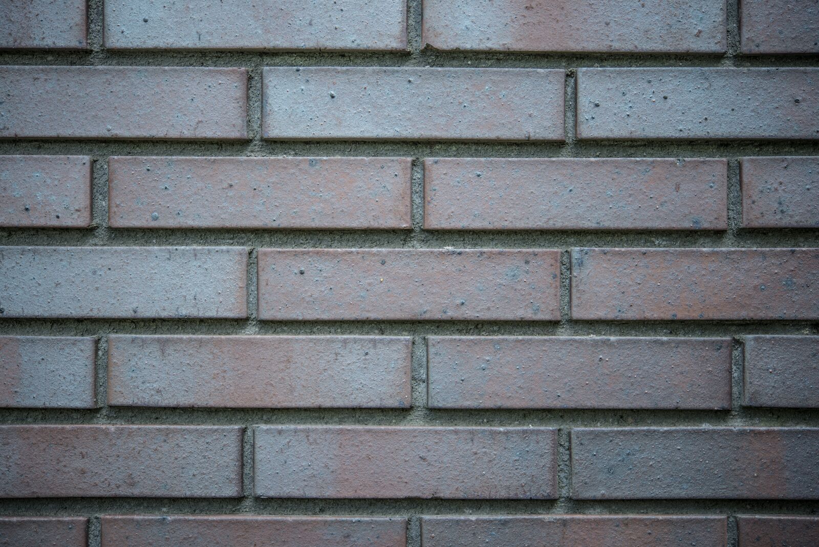 Nikon D600 sample photo. Brick, wall, brick wall photography