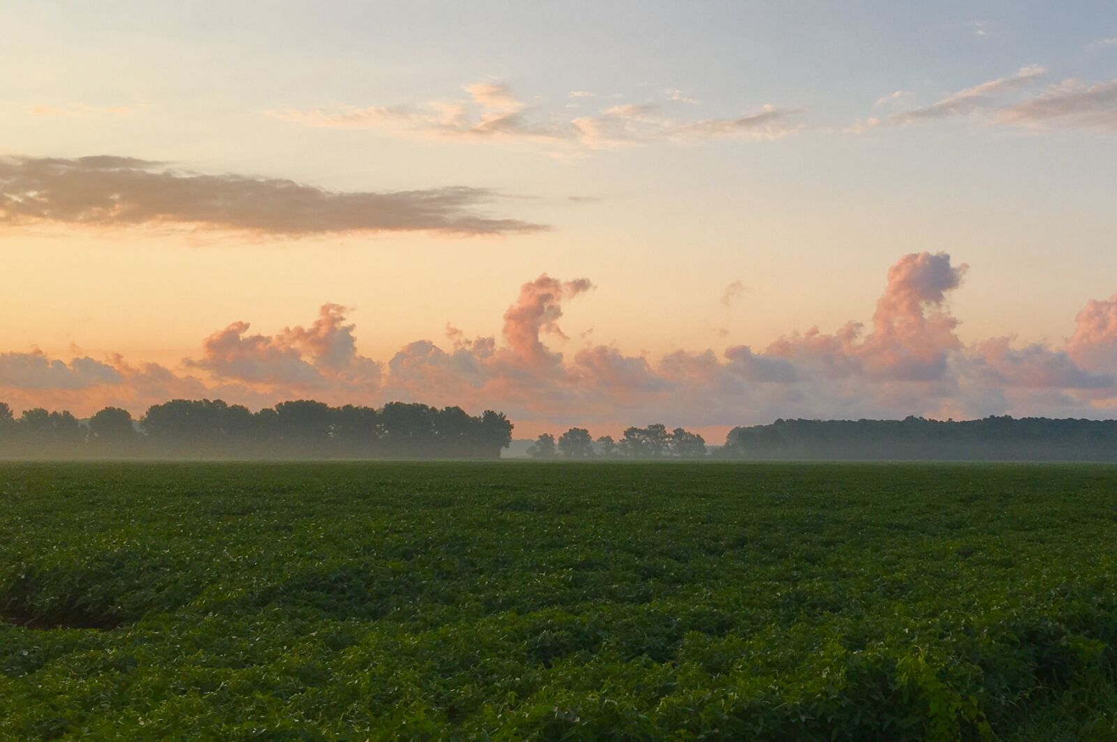 Apple iPhone 6s sample photo. Sunrise, farm, clouds photography