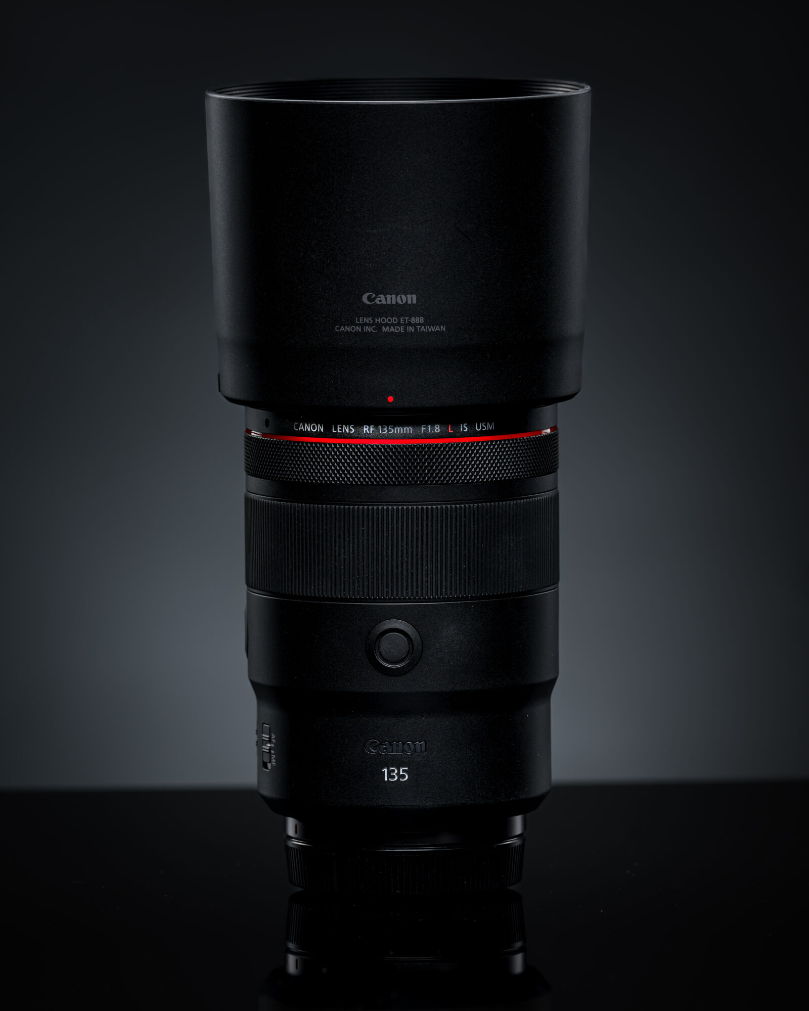 Nikon AF-S Nikkor 300mm F2.8G ED-IF VR sample photo. Canon rf 135mm f1.8l photography