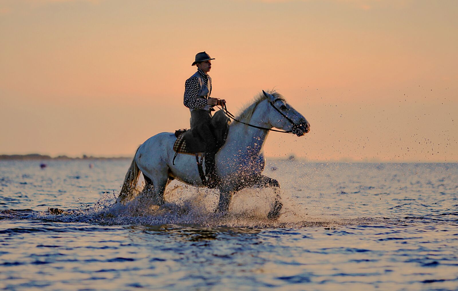 Canon EOS 5D Mark III sample photo. Jumper, horse, horses photography