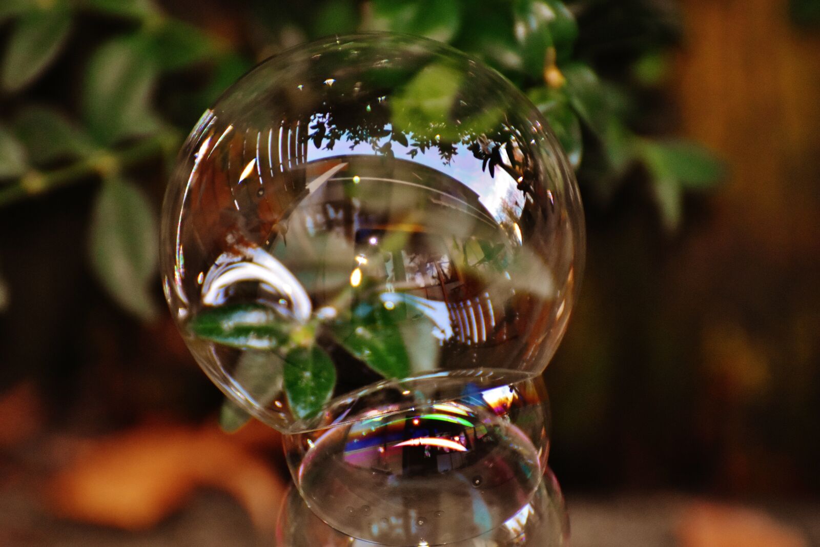 Nikon D7200 sample photo. Soap bubble, colorful, buxbaum photography