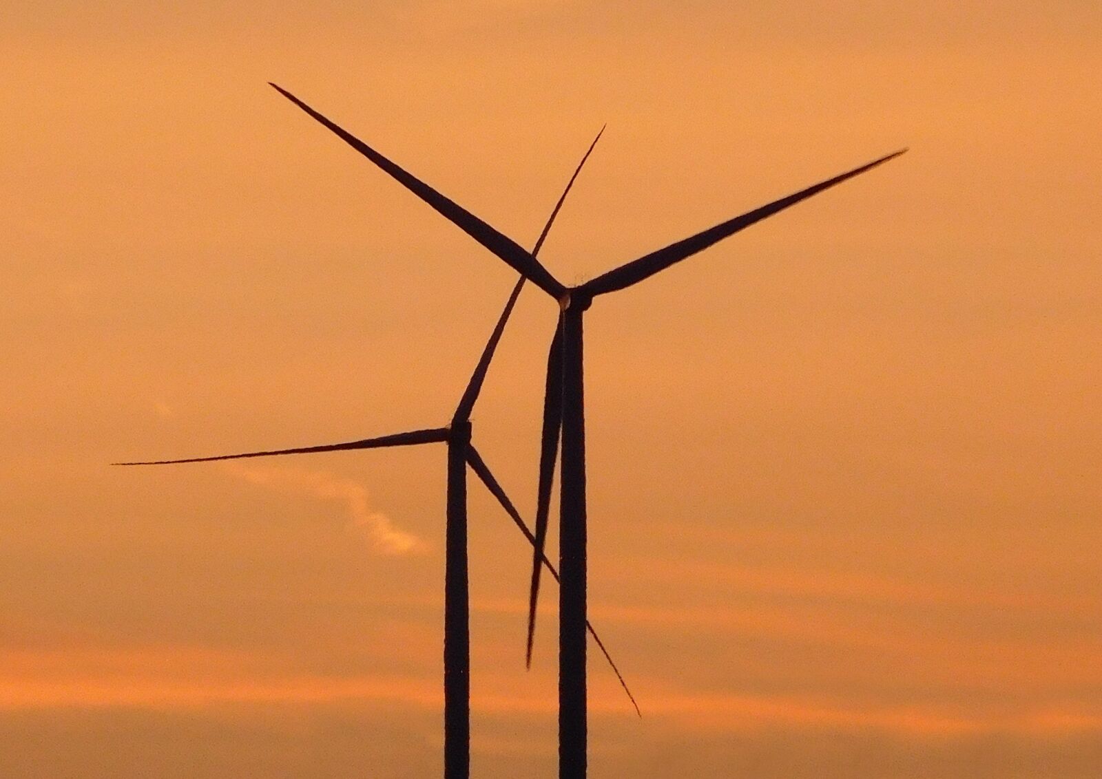 Nikon Coolpix L840 sample photo. Windr der, sunset, wind photography