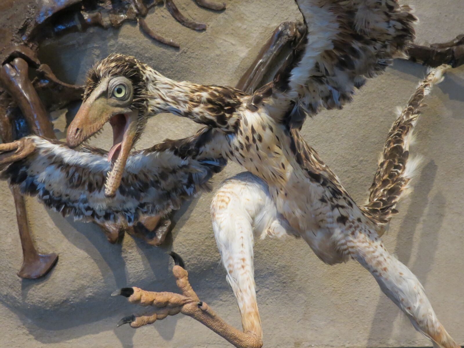Canon PowerShot SX40 HS sample photo. Archaeopteryx, bird, dinosaur photography