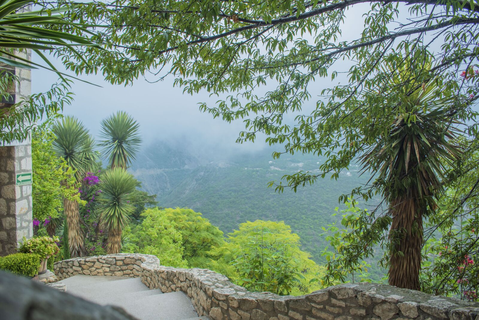 Nikon D5600 sample photo. Dawn, mist, tomorrow photography