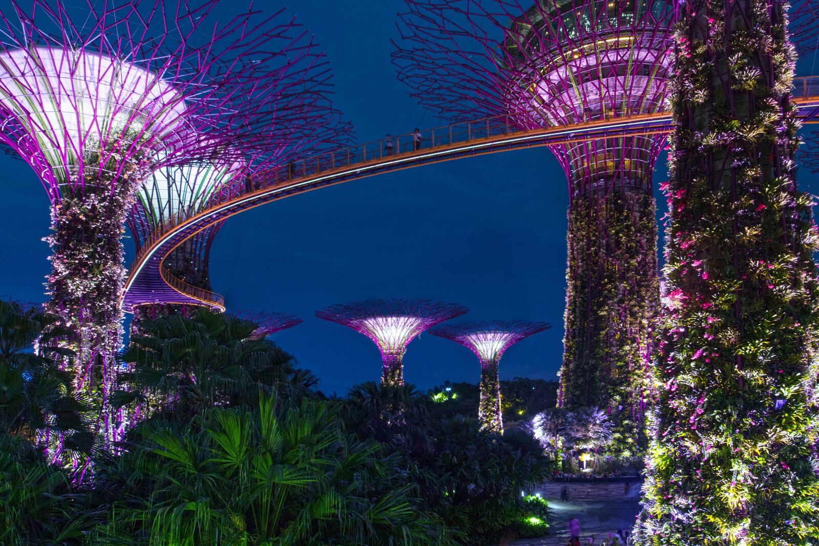 Canon EOS 70D sample photo. Singapore, night, architecture photography