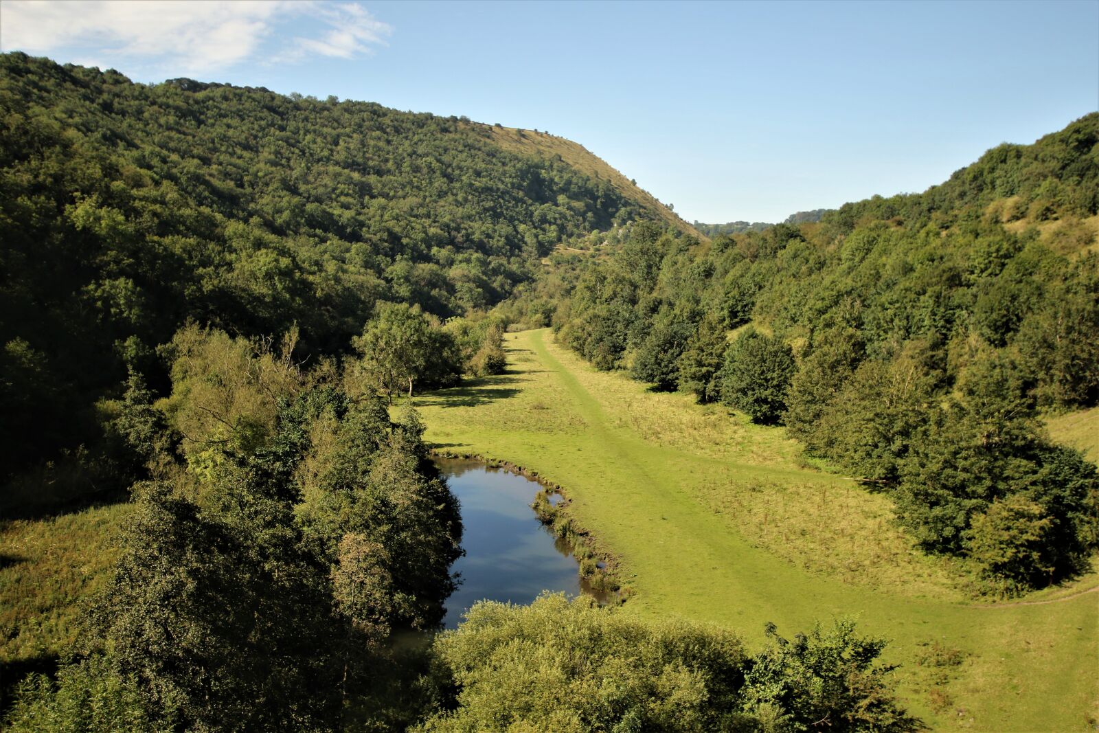 Canon EOS 7D Mark II sample photo. Landscape, trees, grass photography