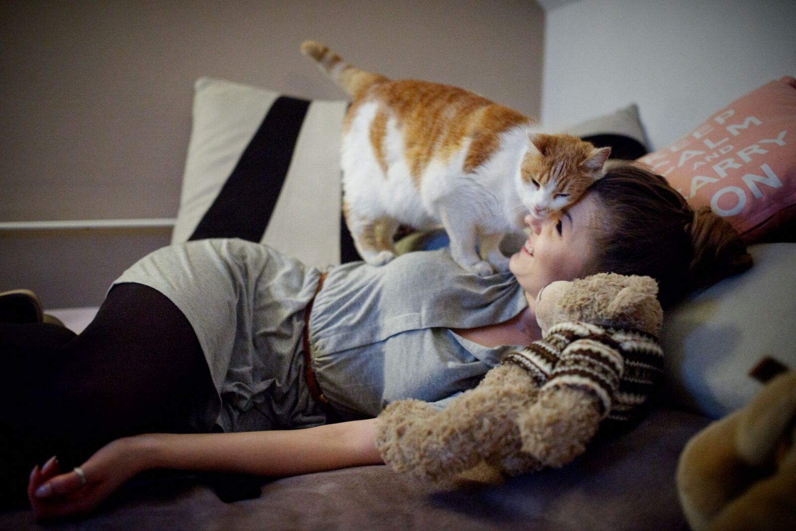 Nikon D610 sample photo. Cat, night, nikon, sigma photography