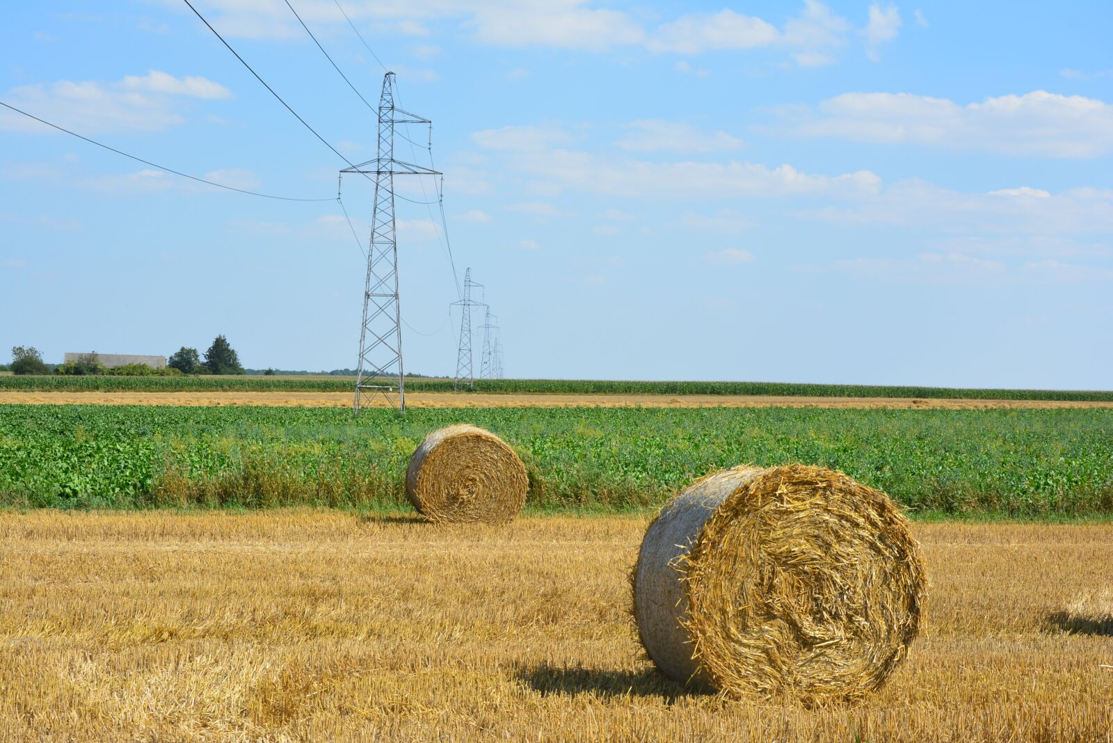 Nikon D5200 sample photo. Harvest, corn, field photography