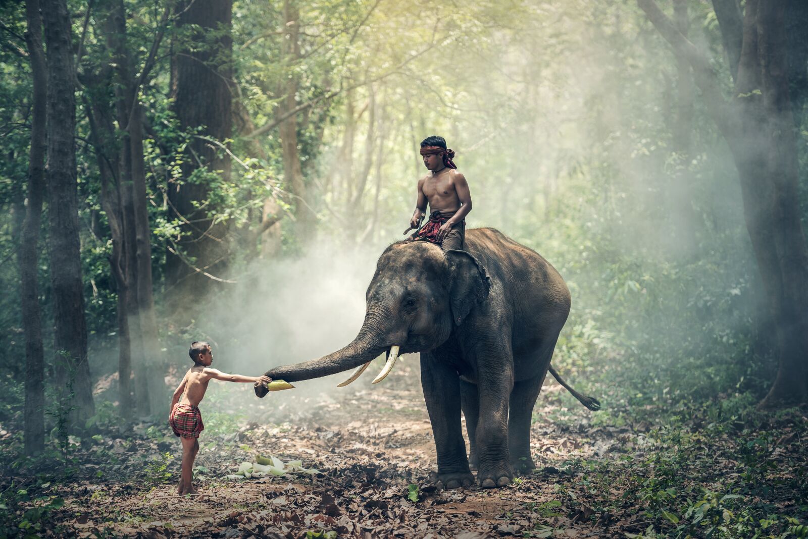 Nikon D810 sample photo. Elephant, riding, children photography
