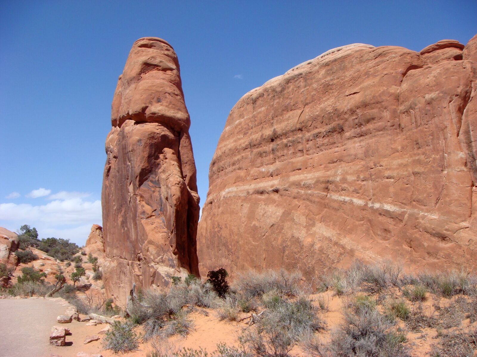 Sony DSC-T100 sample photo. Arches national park, national photography