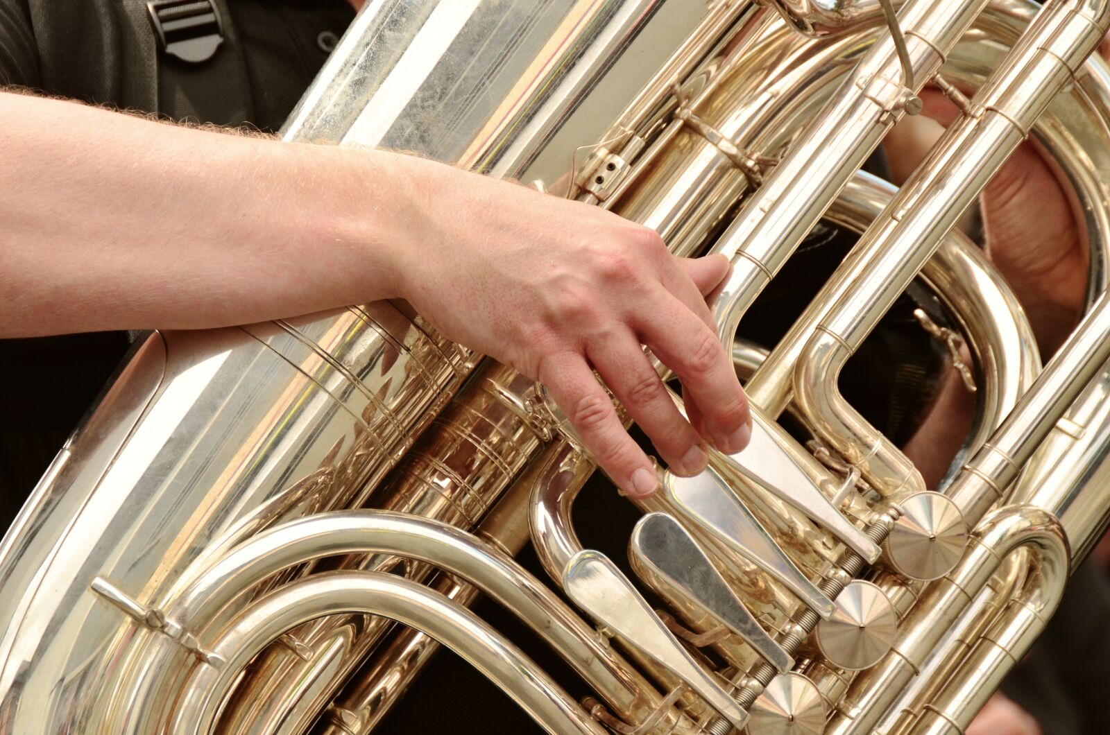 Nikon D5100 sample photo. Tuba, brass band, musical photography