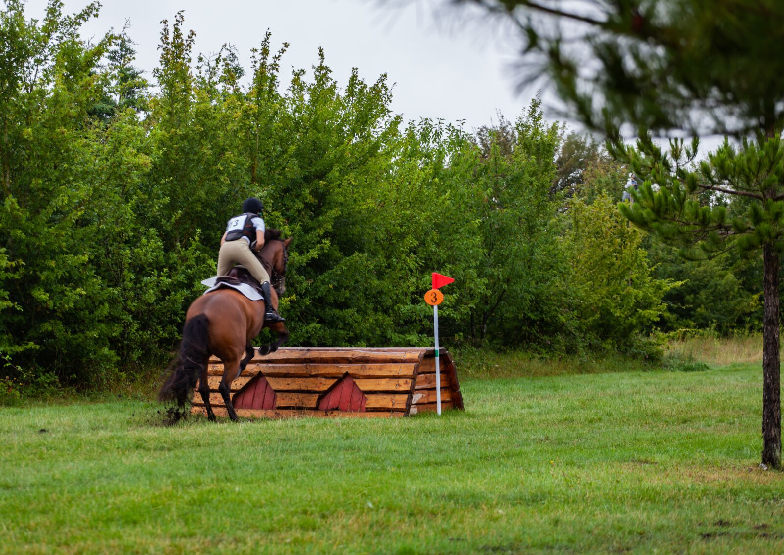 Canon EF 70-200mm F4L USM sample photo. Horse jumping, cross country photography