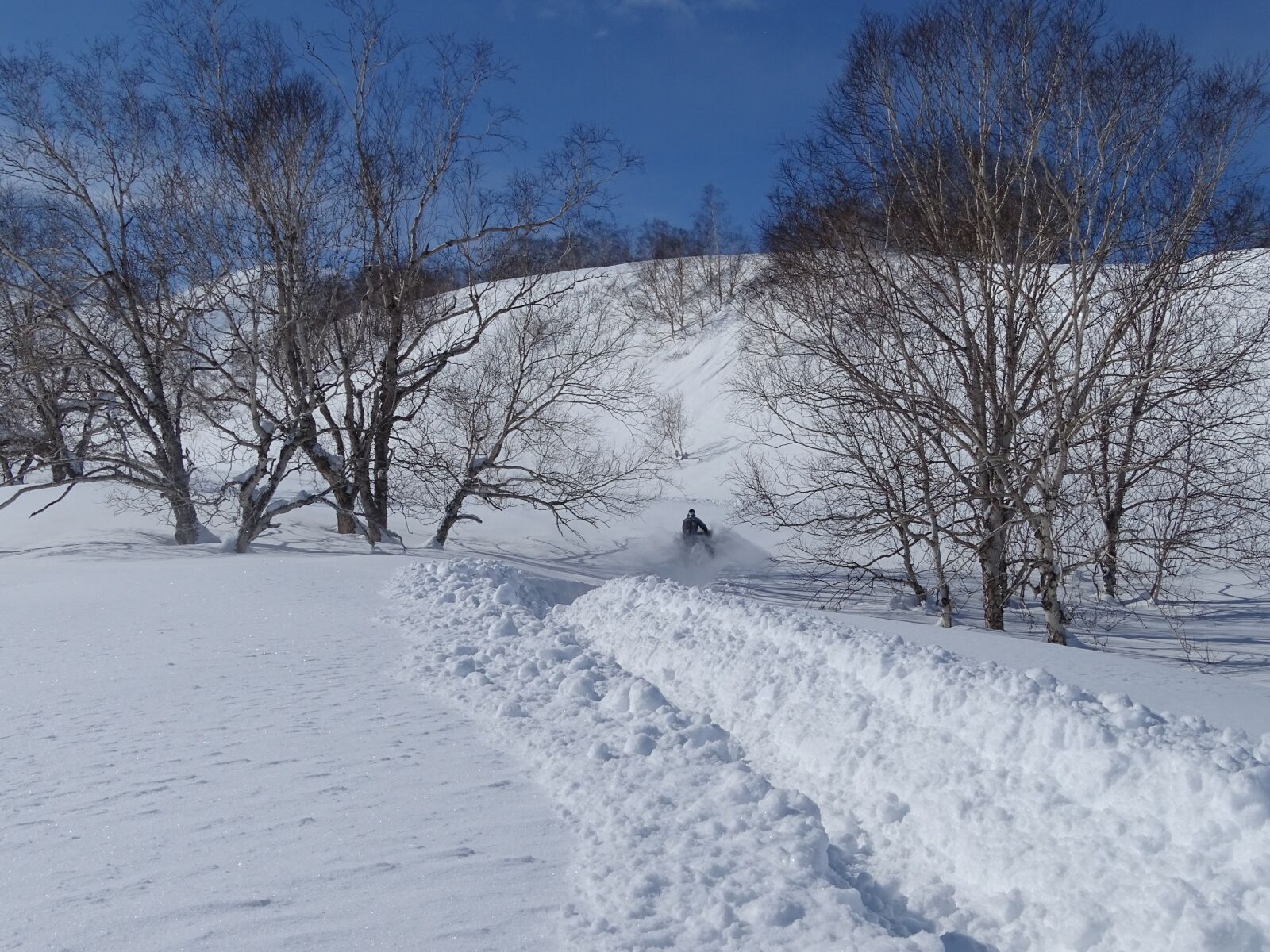 Sony DSC-HX400 sample photo. Winter, snowmobile, vacation photography
