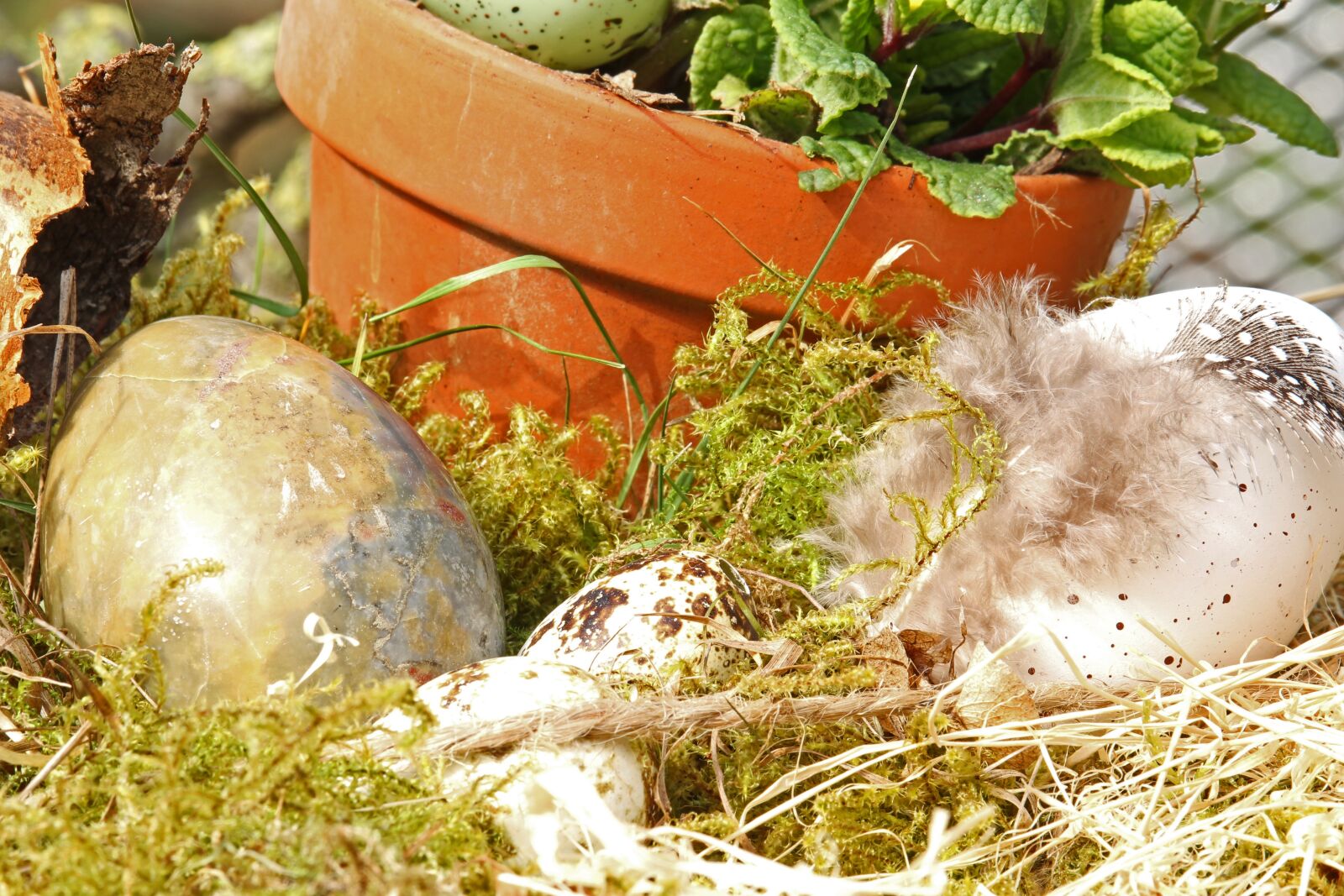 Canon EF-S 55-250mm F4-5.6 IS STM sample photo. Easter eggs, easter nest photography