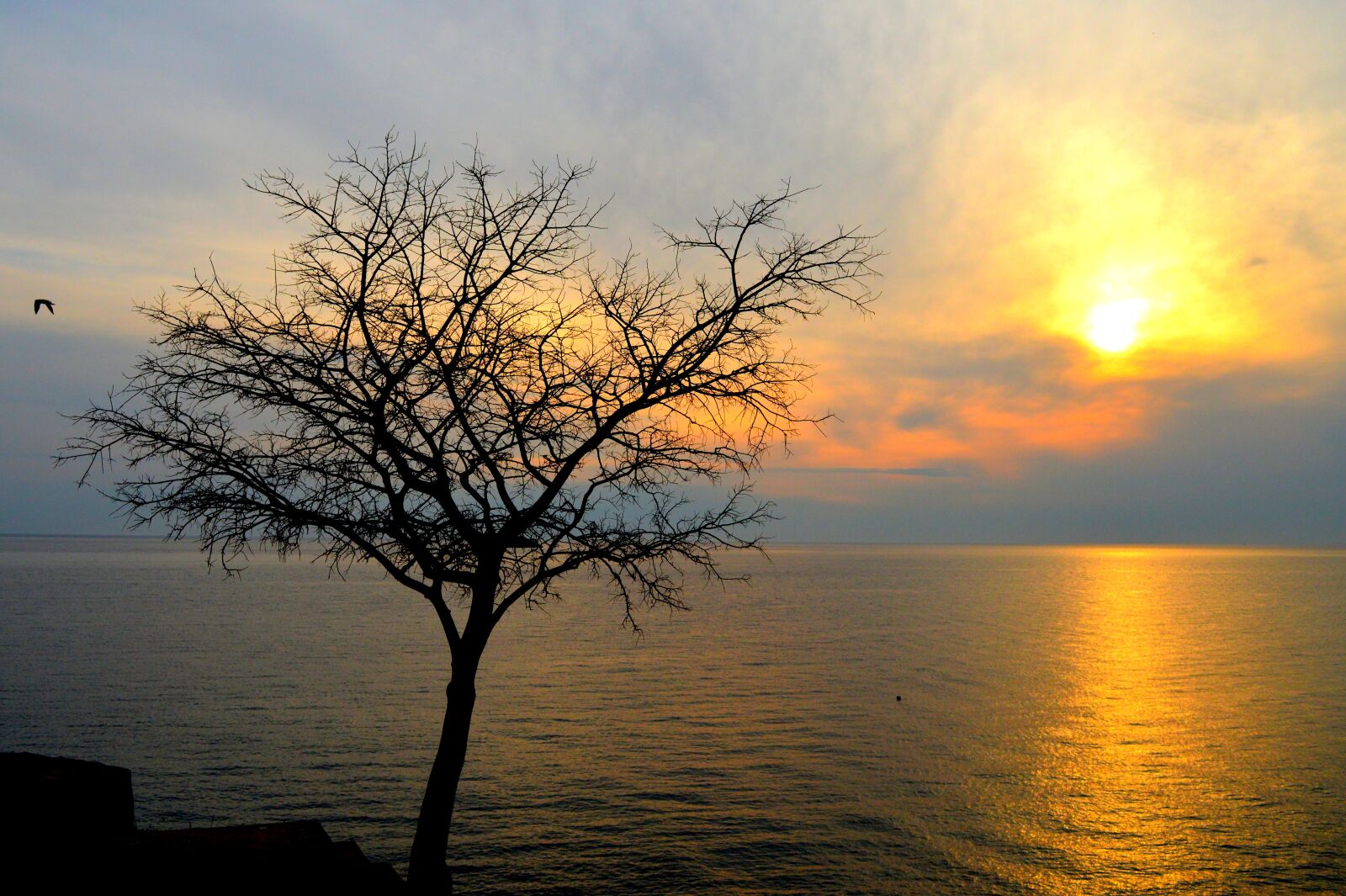Nikon D3200 sample photo. Clouds, sky, tree photography