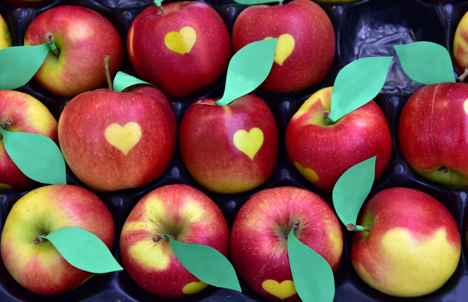Nikon D750 sample photo. Apple, heart, heart apples photography
