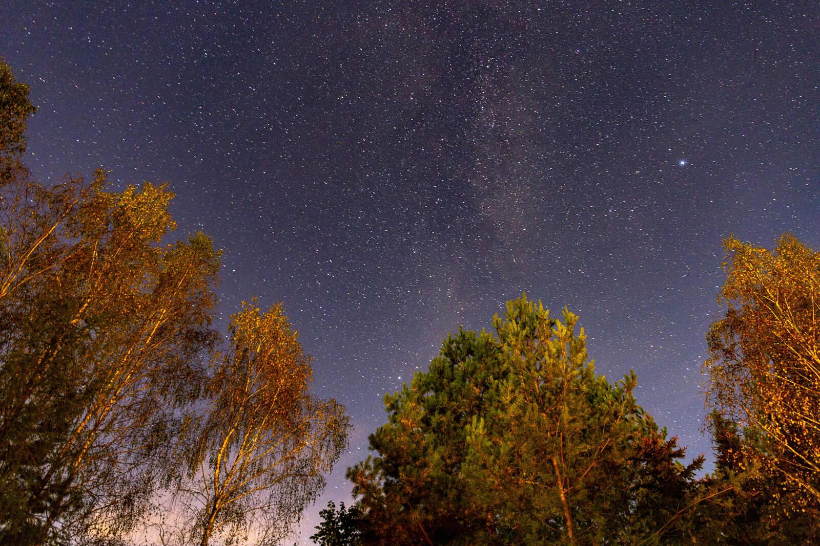 Canon EF 24-70mm F4L IS USM sample photo. Night, celebrities, sky photography