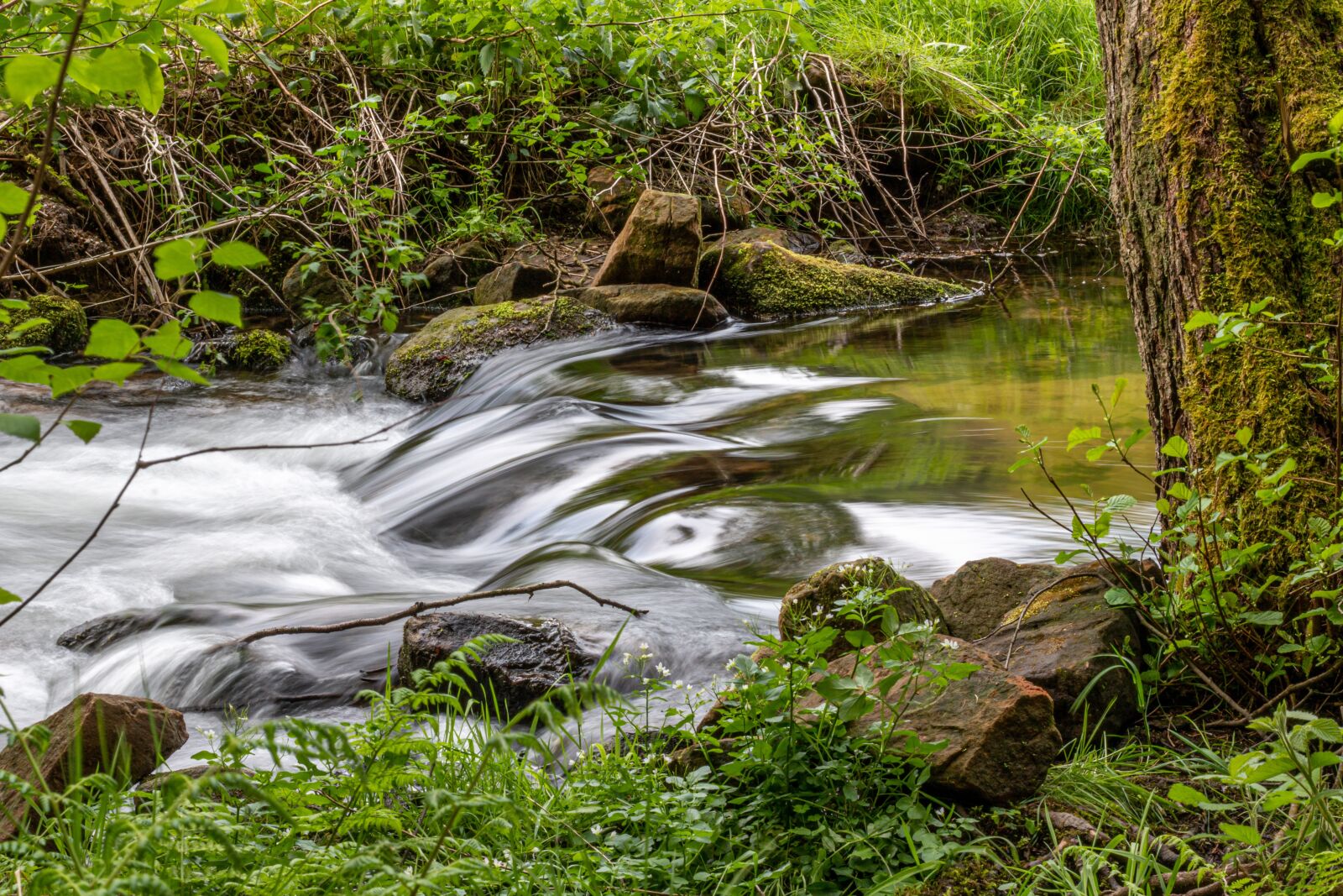 Canon EOS 70D + Canon EF 50mm F1.8 STM sample photo. Bach, water, nature photography
